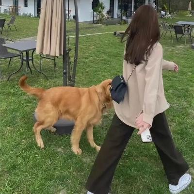 第九部落